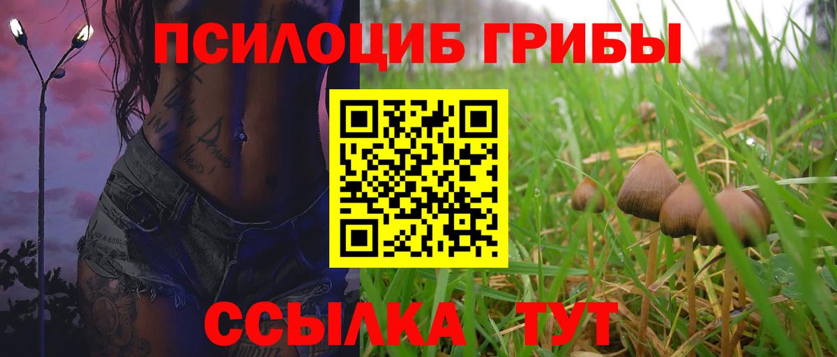 Грязи  Галлюциногенные грибы Magic Shrooms  Вход с VPN 
